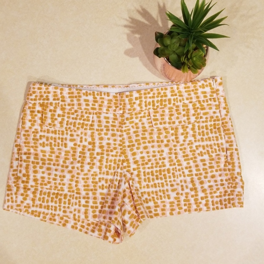 J. Crew Summer Shorts Size 6